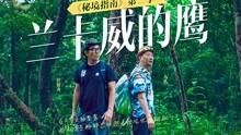 妹妹8岁时，哥哥中考，哥哥应该比妹妹大多少岁？